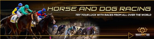 Experience the best online horse racing odds in Singapore. Waybet88.com is a reputable place to get a chance in horse racing odds service and knowledge about the winning prizes. To discover more, go to our website.