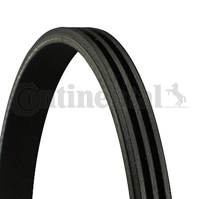 CONTI-3PK725-ELAST.jpg