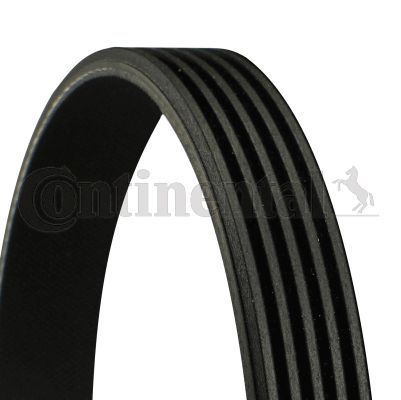 CONTI-5PK1482.jpg