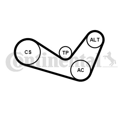 CONTI-6PK1050K4.jpg