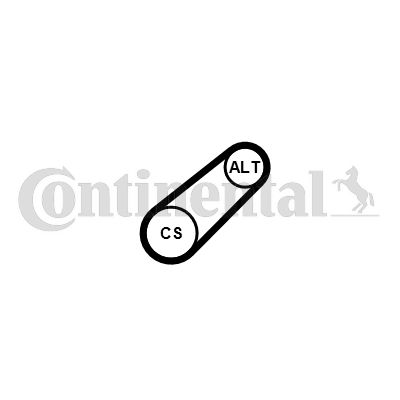 CONTI-6PK799ELAST.jpg