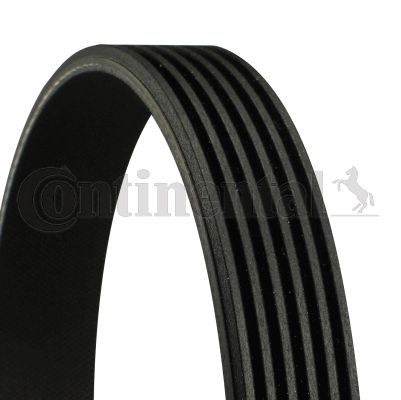 CONTI-6PK905EXTRA.jpg