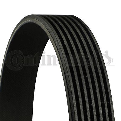 CONTI-7PK880.jpg