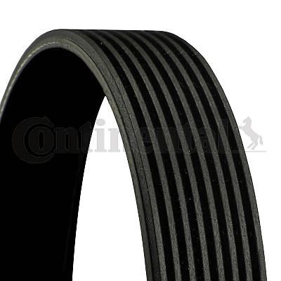 CONTI-8PK1158.jpg