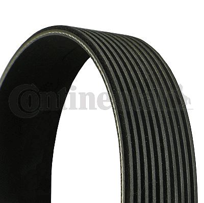 CONTI-8PK2160.jpg