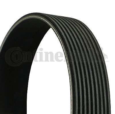 CONTI-9PK1330.jpg