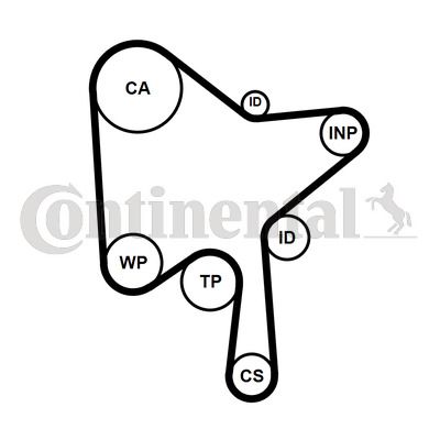 CONTI-CT1189WP1.jpg