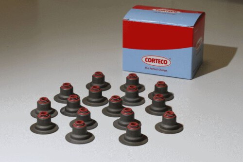 CORTECO-19036645.jpg