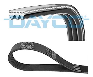 DAYCO-3PK576EE.jpg