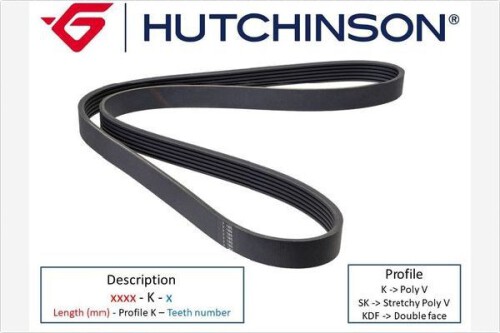 HUTCHINSON-4PK1260.jpg