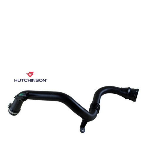 HUTCHINSON-9106.jpg