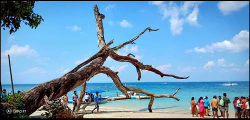 We offer a family tour package for Andaman at Thetravelbuddy.com so that you can spend quality time with your family. You may book low-cost Andaman tourism family packages here. Please get in touch with us if you require any other information.

https://thetravelbuddy.com/tour-category/family/
