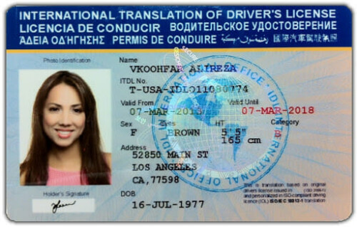 Buy-International-Drivers-License.jpg