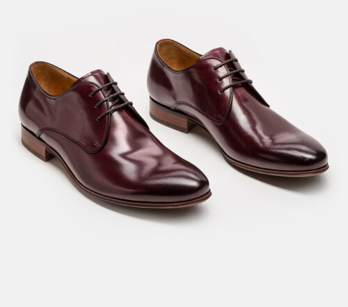 Do you want formal burgundy shoes for men? Theroyalepeacock.com provides you the best burgundy formal shoes at an affordable price. For more information, visit our website.

https://www.theroyalepeacock.com/collections/boots
