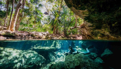 cenote-landscape-cristalino-3.jpg