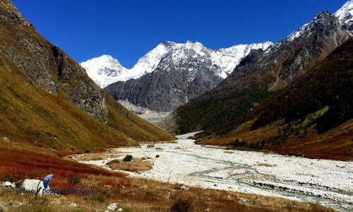 Want to visit valley of flowers in India. Valleyofflowers.info is the must-see website to get complete knowledge about the beauty of the Himalayan regions. We provide all the relevant information about the valley of flowers, such as when to visit, accommodation, route map, adventure places for trekking, and many more. Keep in touch with us for further details.

https://valleyofflowers.info/