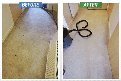 carpet-cleaning-9.jpg