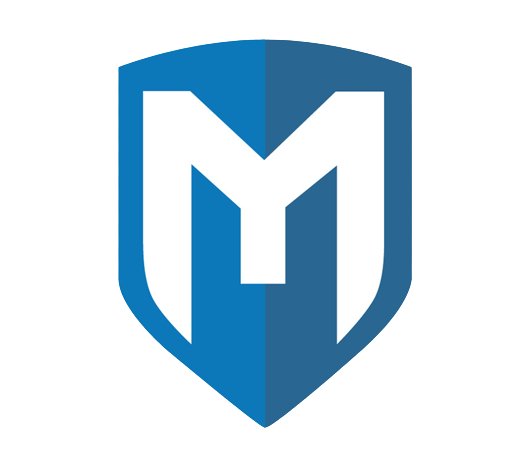 msflogo-removebg-preview.png