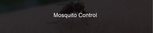 Are Mosquitoes Bothering You? Mosquitoes are one of the biggest pest problems for home and business owners. Long Island Pest Control is here to help make being outside safe and enjoyable again. Call now!

https://lipestservices.com/mosquito-control/