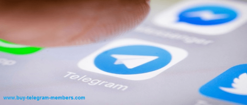 Buy Telegram Channel Followers to increase your audience reach! Boostfansonline.com offers real and active followers for your Telegram channels at a competitive price. Discover our website for more details.

https://boostfansonline.com/buy-telegram-members/