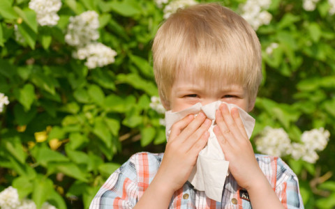 allergy_tesing-480x300.jpg