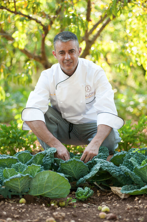 Looking for Personal Chef Nyc? Come to Alloroprivatedining.com. We aim to introduce you to his beloved Puglia area and the long-forgotten, centuries-old cuisine of Southern Italy. Visit our site for more info.

https://www.alloroprivatedining.com/about