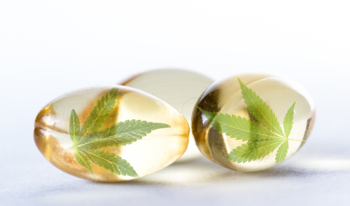 WHAT-ARE-CBD-CAPSULES-USED-FOR-JustCBD-UK.png