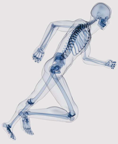 img-skeleton-1.jpg