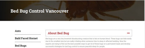 Are you searching for Bed Bug Control in Vancouver. Advance Pest Control provides treatment for bed bugs & effective bed bug control services in Vancouver, North Vancouver and throughout the Lower Mainland.

https://advancepest.ca/bed-bug-control-vancouver/