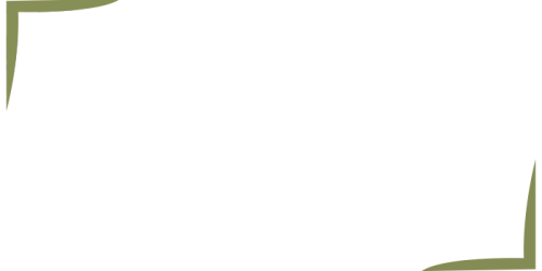 banner-logo.png