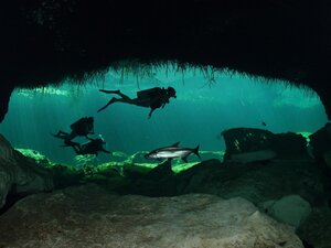 ScubadivingCasaCenote.jpg