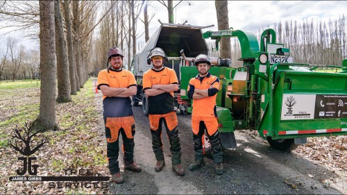 Hire the professional Arborist to get the Hedge Trimming in Kaiapoi or Tree Pruning in Kaiapoi or Tree Topping in Kaiapoi for grooming your trees to make your lawn look good. You can hire them at proarbcantebury.kiwi, just visit the site for more information

https://proarbcanterbury.kiwi/pruning-topping-hedges-kaiapoi/