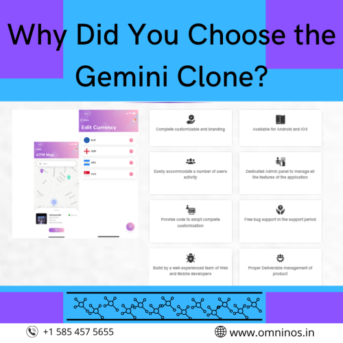 Why Did You Choose the Gemini Clone