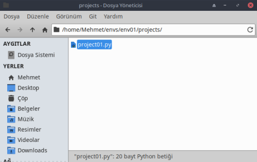 python proje linux002