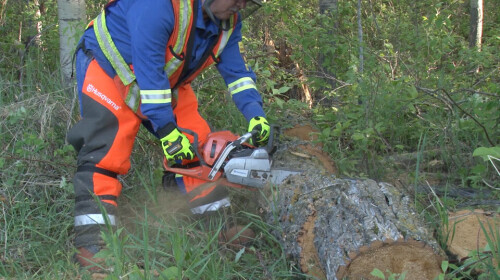 Onlinesafetytraining.ca provides Chainsaw Safety Training Course online. Get certified today after completion of course. Visit our website for more information.



https://onlinesafetytraining.ca/course/chainsaw-safety-online-course/