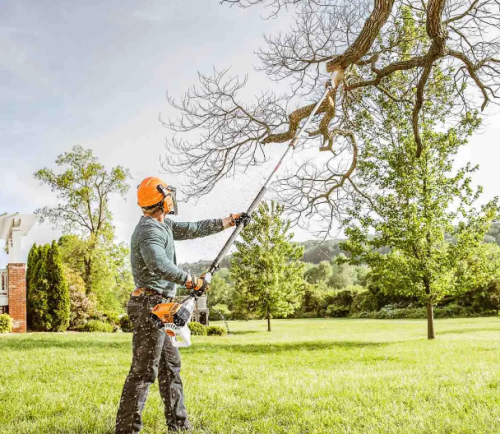 Looking for someone to Hedge Trimming in Rangiora or Tree Pruning in Rangiora then you can hire the experts from proarbcanterbury.kiwi. They are also providing services of Tree Topping and Tree Trimming service in Rangiora. Visit their website for more information


https://proarbcanterbury.kiwi/pruning-topping-hedges-rangiora/