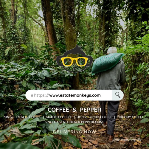 Buy-Premium-Coffee-Beans-Online.jpg