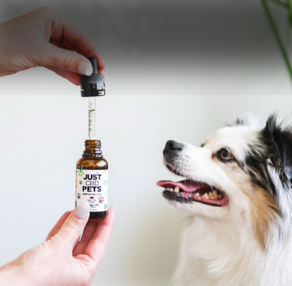 CBD-Pets-1.jpg