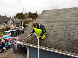 Best-Gutter-Cleaner-Near-Me.jpg