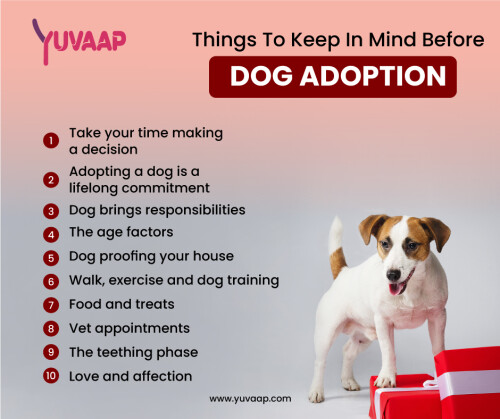 Things-To-Keep-In-Mind-Before-Dog-Adoption.jpg
