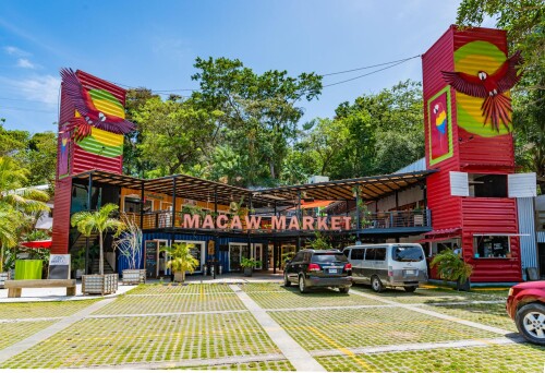 macaw-market-2.jpg