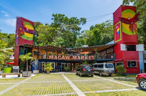 macaw-market-2-818x540.jpg