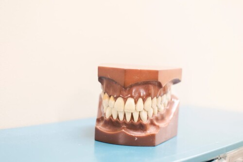 Find-Best-Denture-Clinics-in-Christchurch.jpg