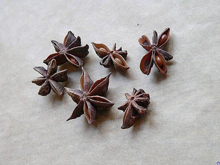 440px-Sternanis.wmt.jpg