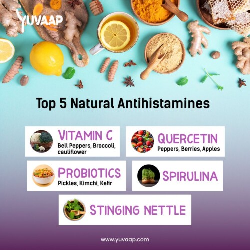 Top-5-Natural-Antihistamines.jpg