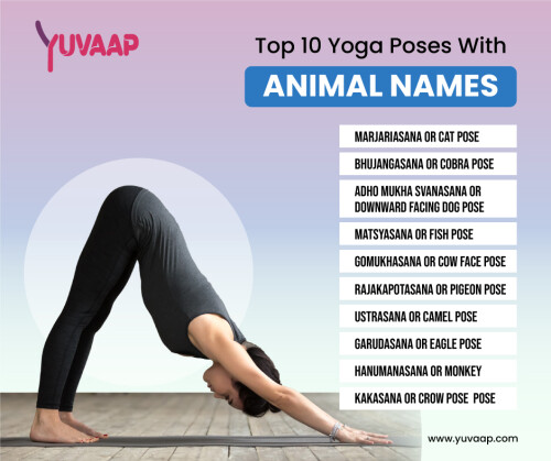 Top-10-Yoga-Poses-With-Animal-Names.jpg
