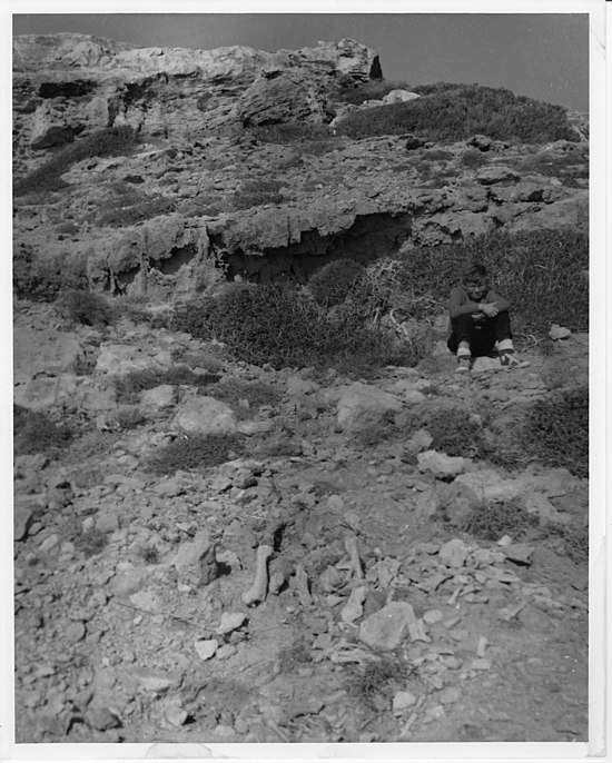 Aetokremnos_1960.jpg