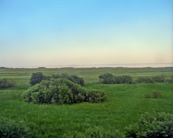 600px-Siberian_plain.jpg