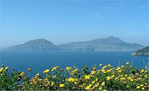 500px-Ischia_da_procida.jpg