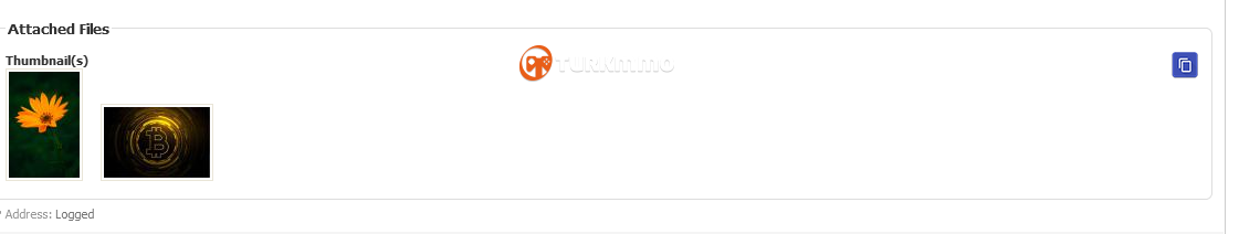 1fc2829f2aa777c64.png